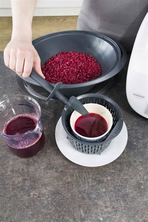 mit thermomix entsaften